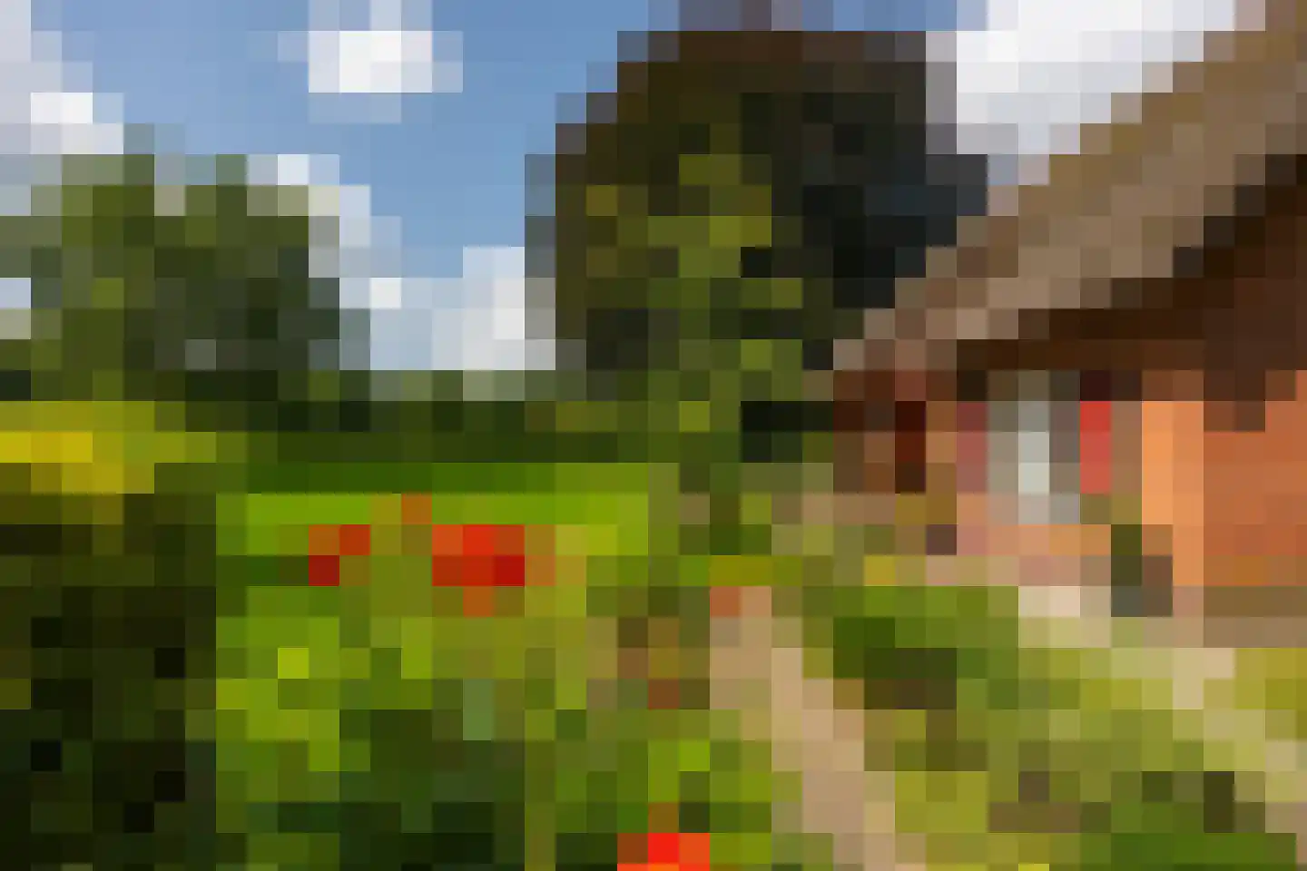 Stoevelaarsweg 2 Goor thumbnail 56