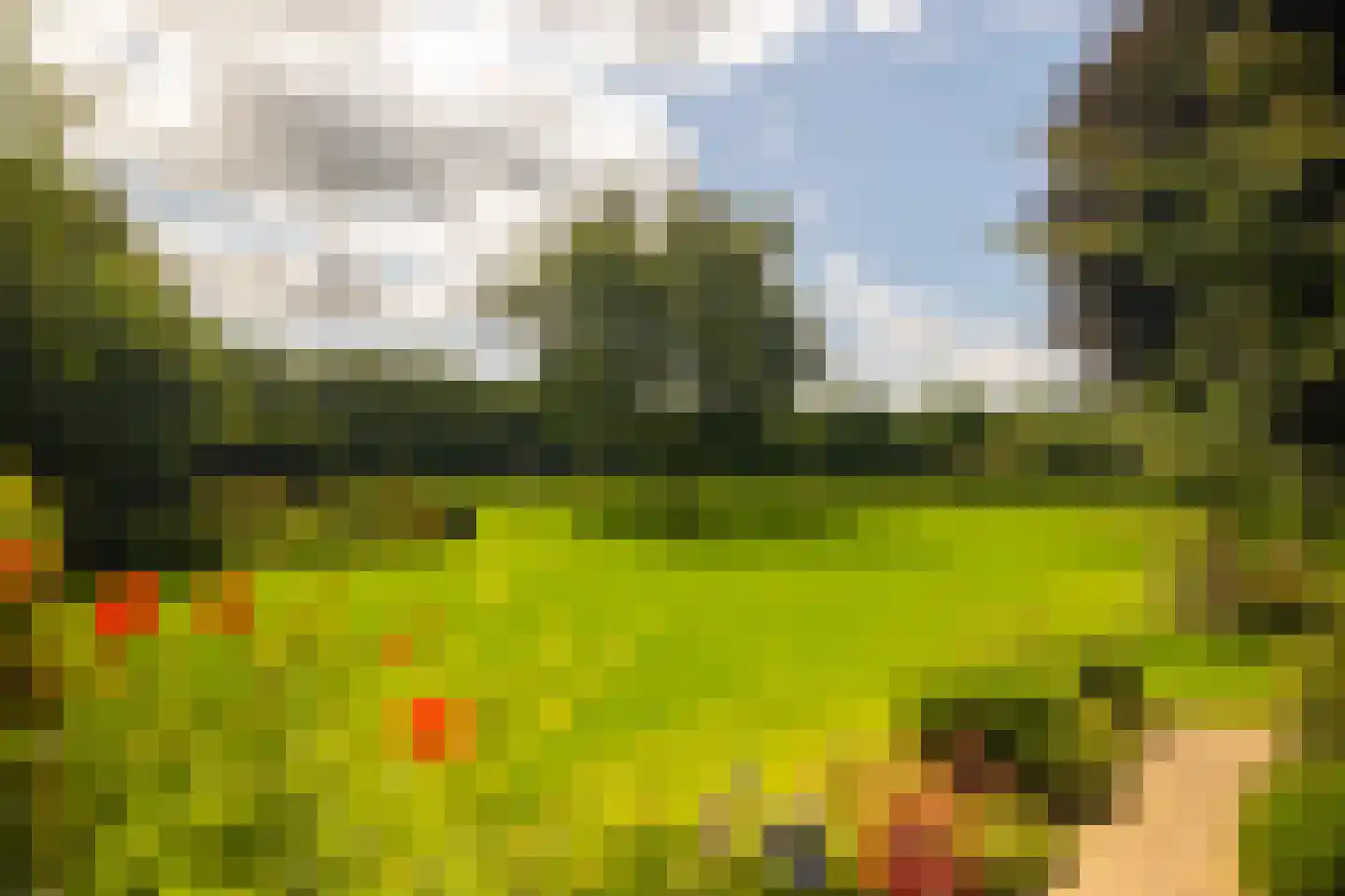 Stoevelaarsweg 2 Goor thumbnail 57