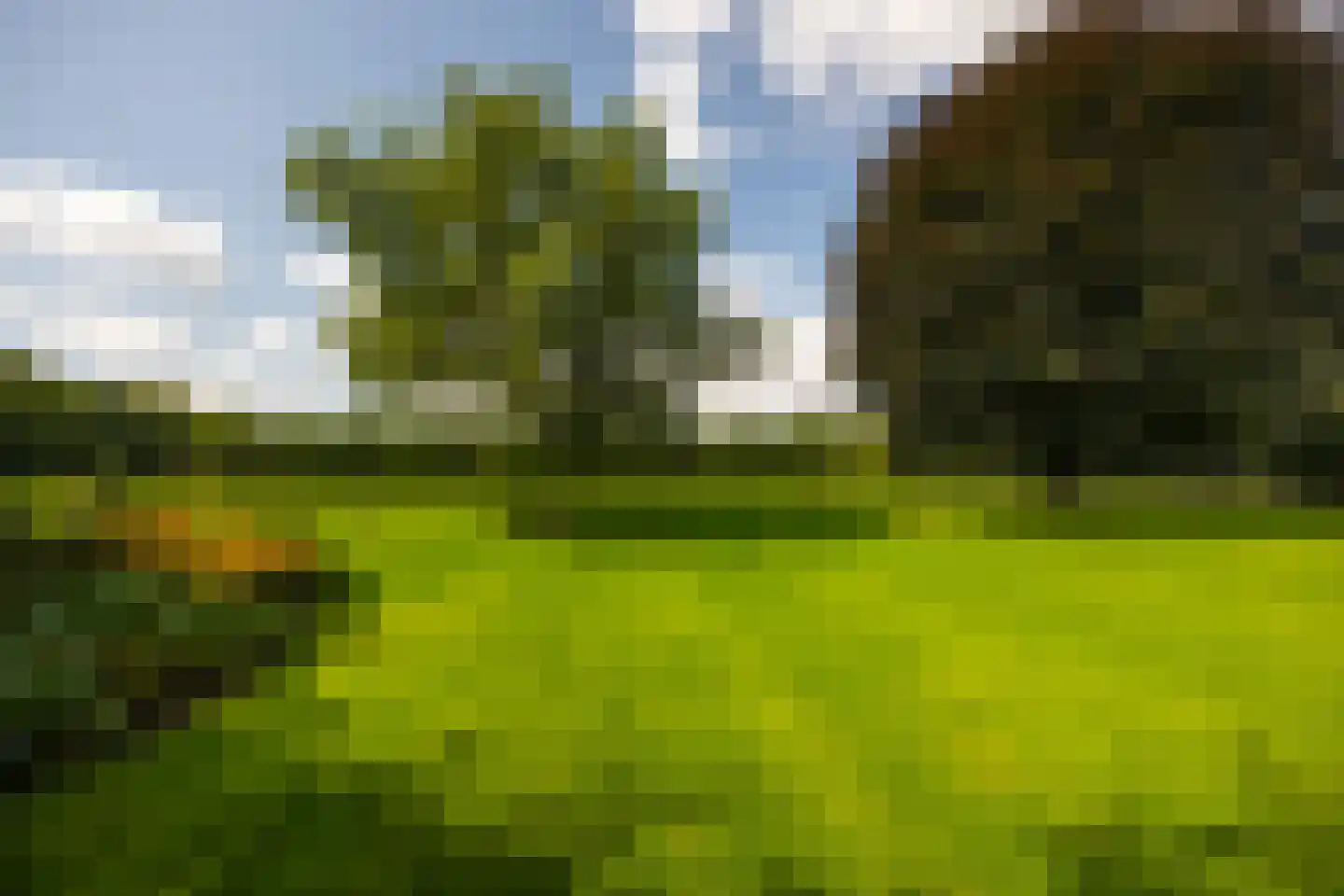 Stoevelaarsweg 2 Goor thumbnail 58