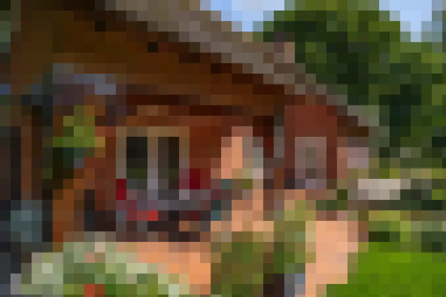 Stoevelaarsweg 2 Goor thumbnail 59