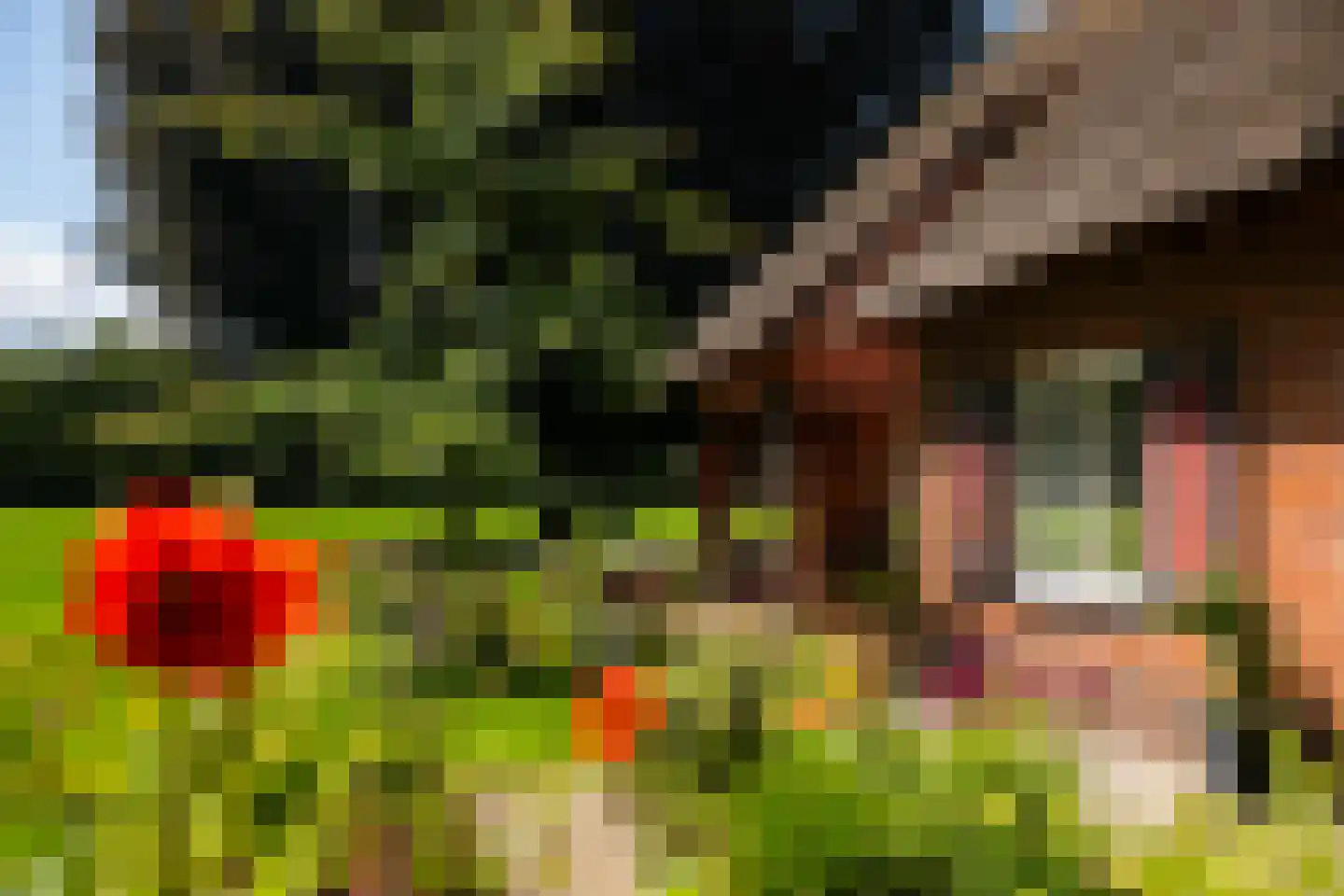 Stoevelaarsweg 2 Goor thumbnail 60