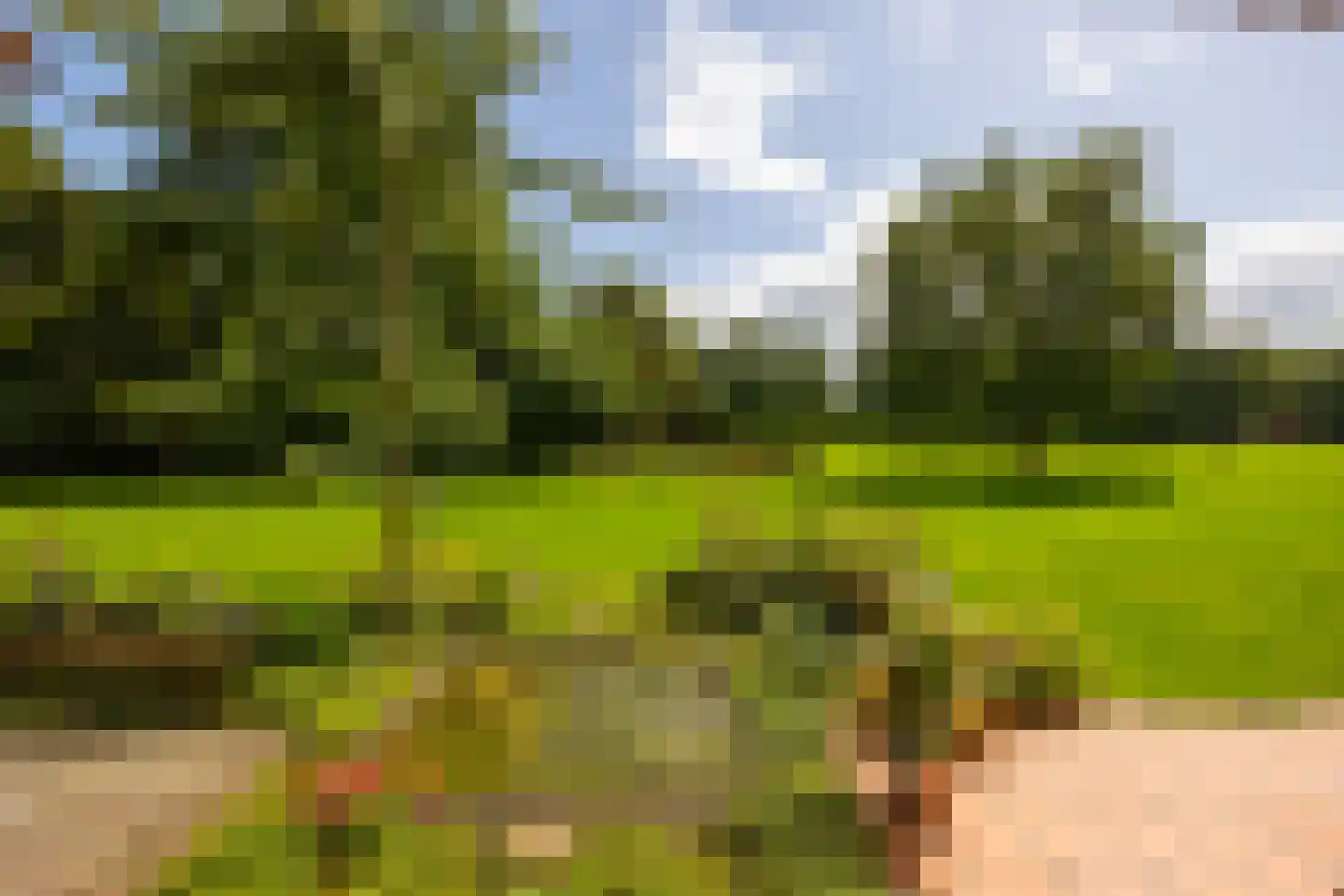 Stoevelaarsweg 2 Goor thumbnail 61