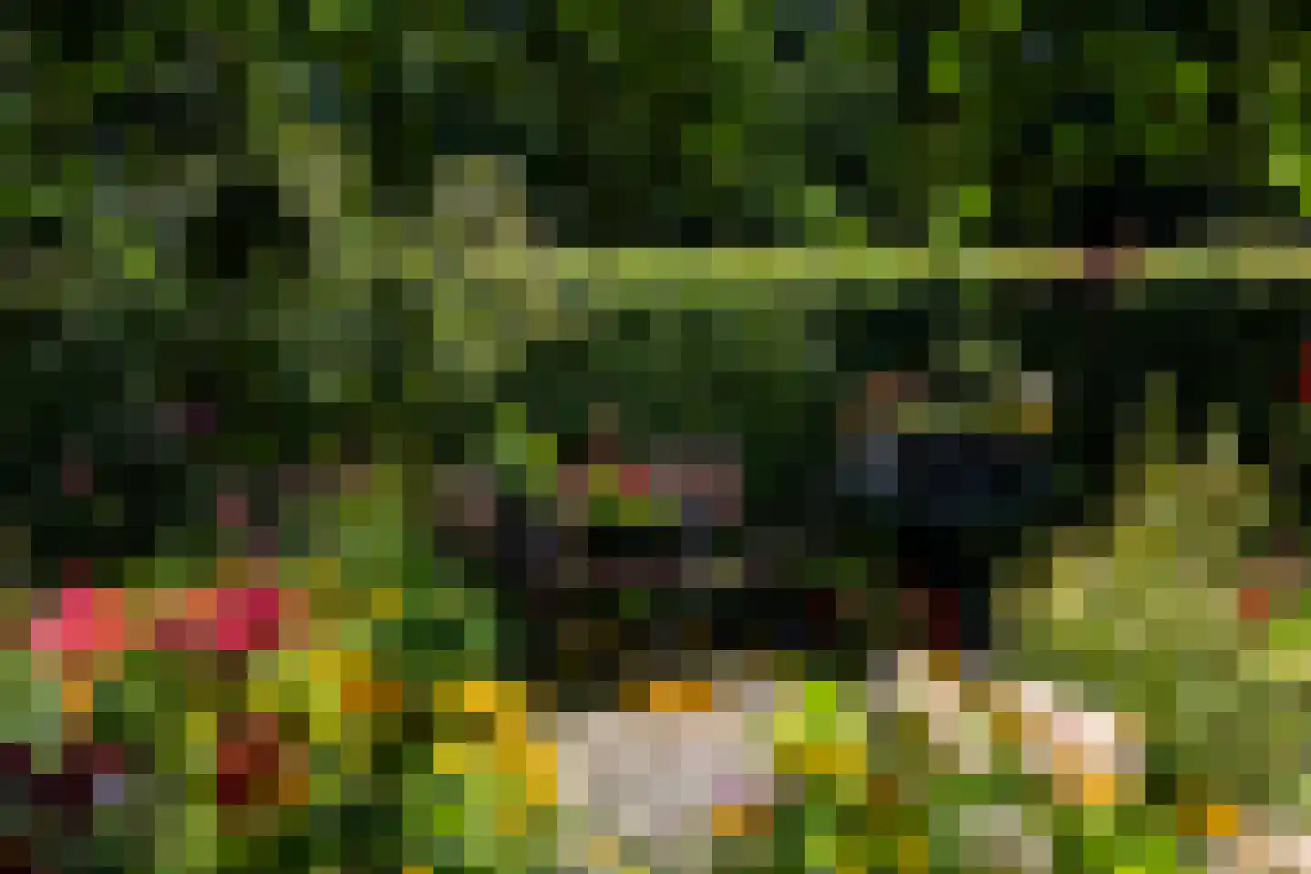 Stoevelaarsweg 2 Goor thumbnail 62