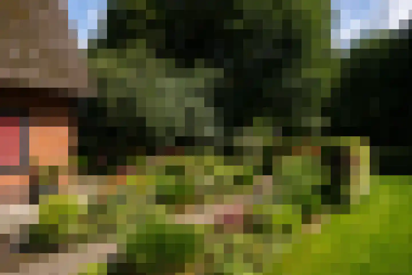 Stoevelaarsweg 2 Goor thumbnail 63