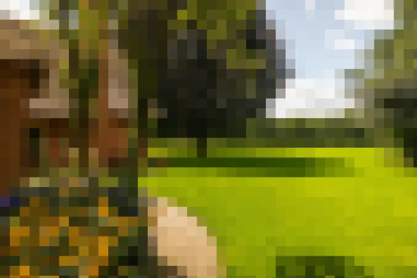 Stoevelaarsweg 2 Goor thumbnail 64