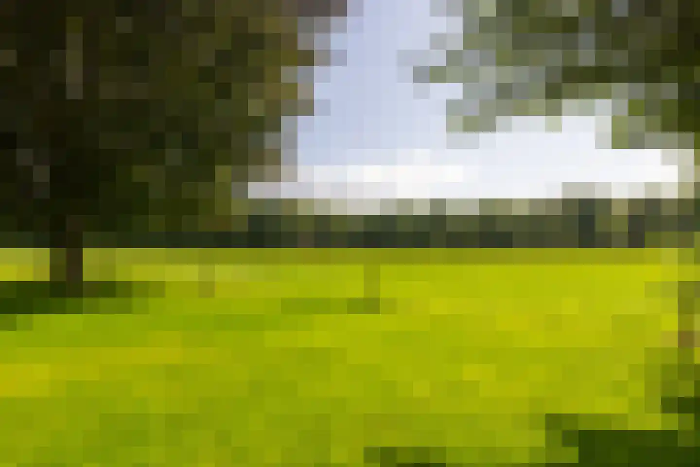 Stoevelaarsweg 2 Goor thumbnail 65