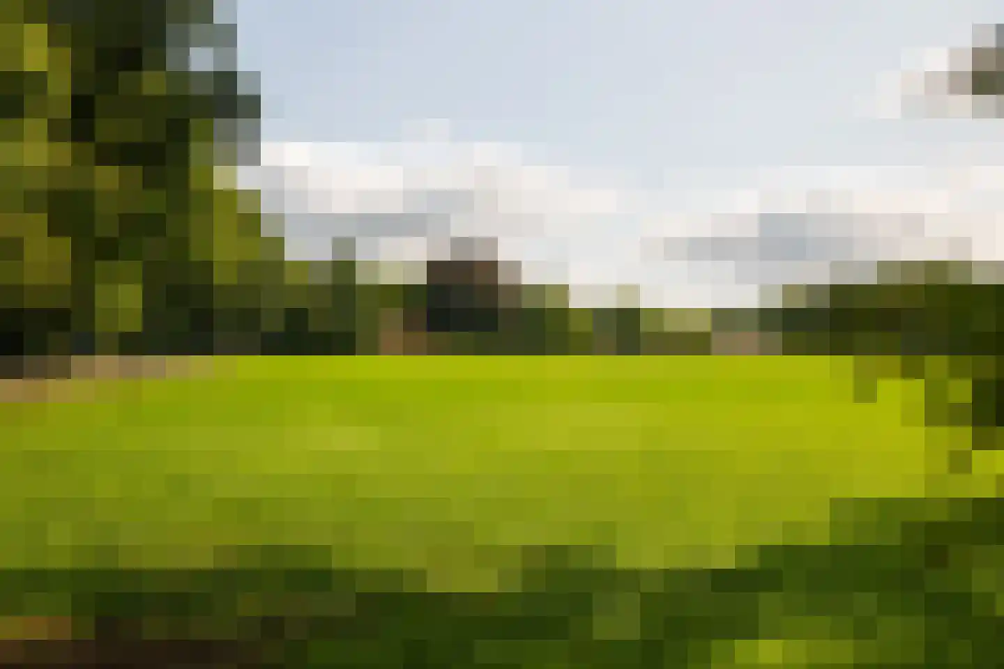 Stoevelaarsweg 2 Goor thumbnail 66