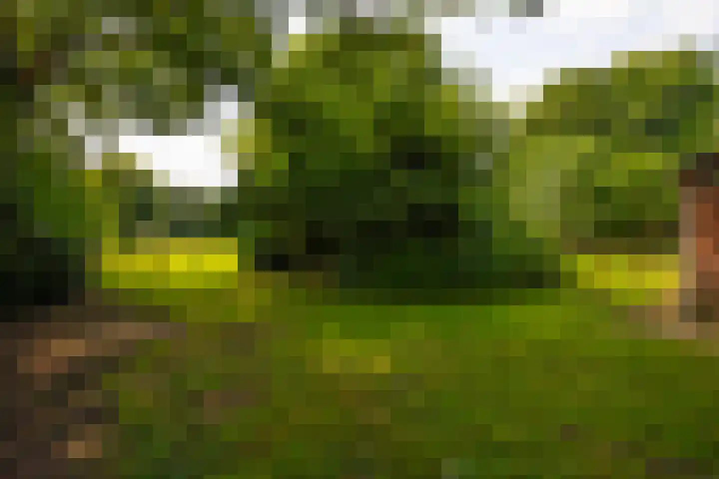 Stoevelaarsweg 2 Goor thumbnail 67