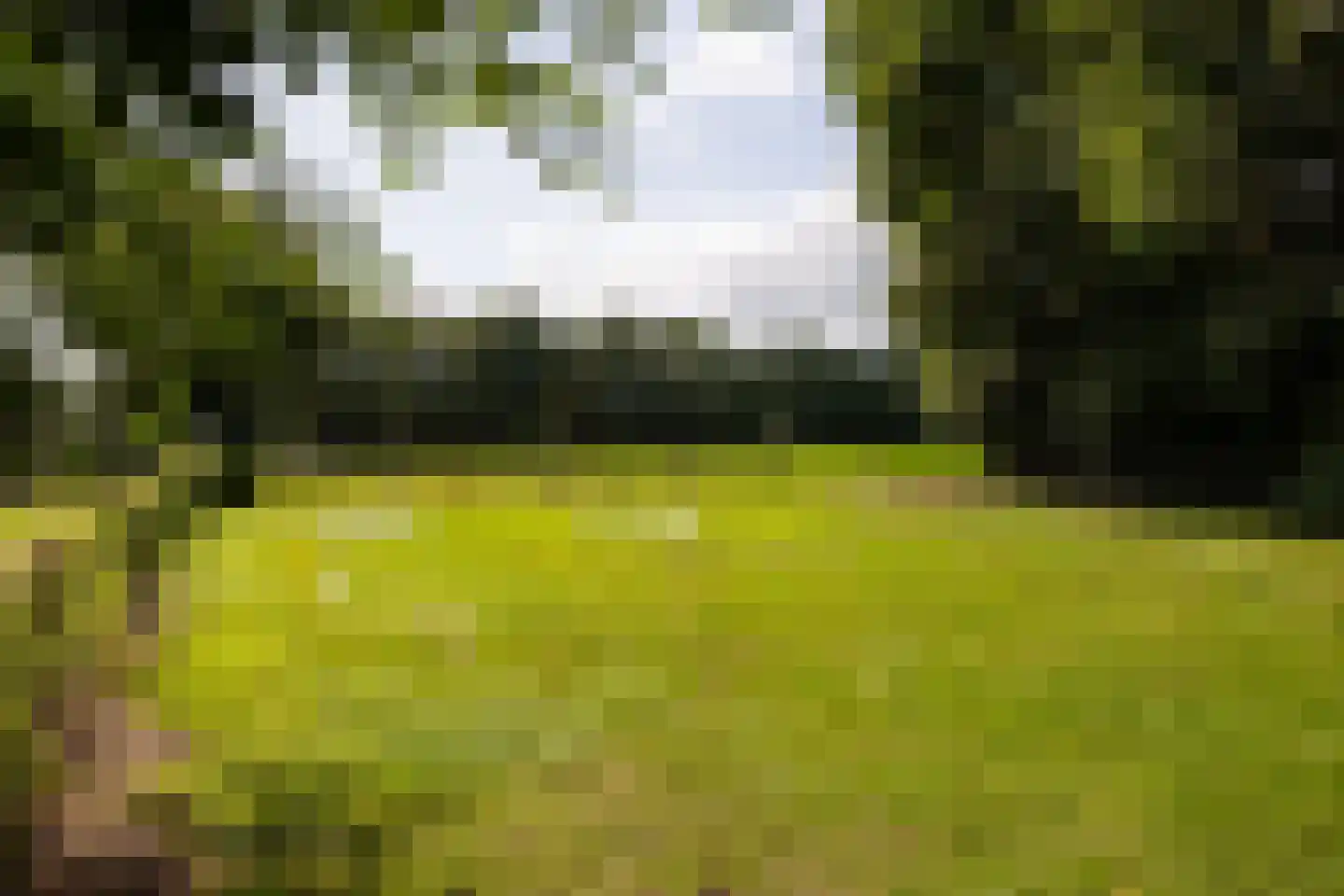 Stoevelaarsweg 2 Goor thumbnail 68