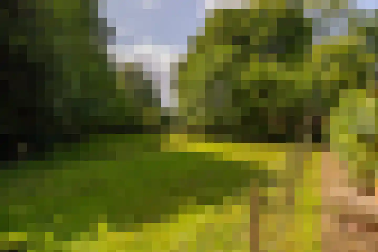 Stoevelaarsweg 2 Goor thumbnail 69