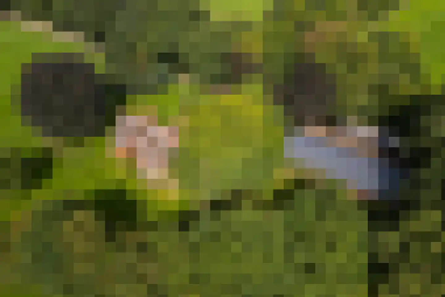 Stoevelaarsweg 2 Goor thumbnail 70