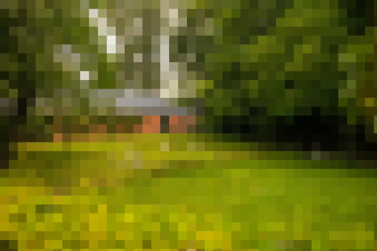Stoevelaarsweg 2 Goor thumbnail 71