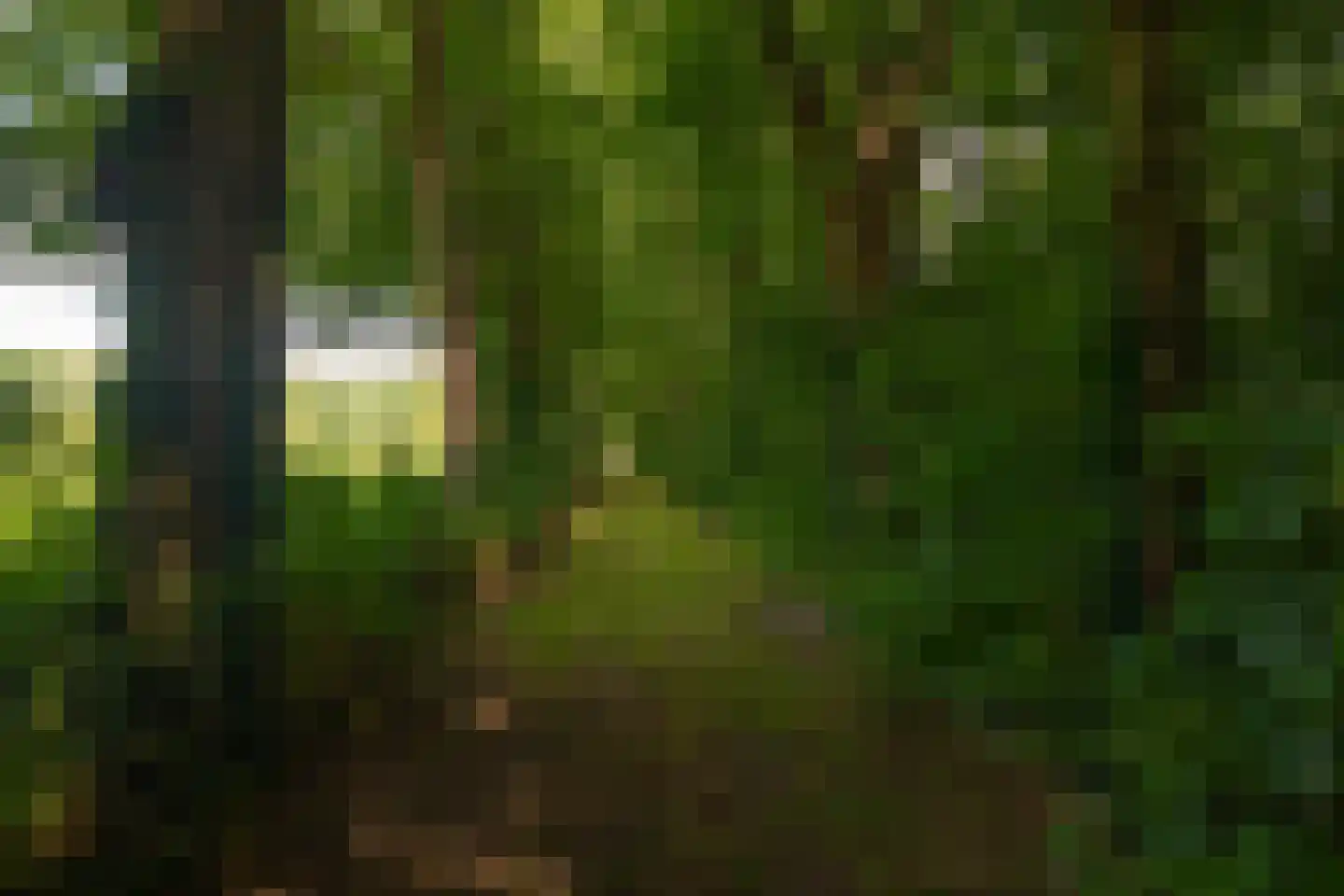 Stoevelaarsweg 2 Goor thumbnail 72
