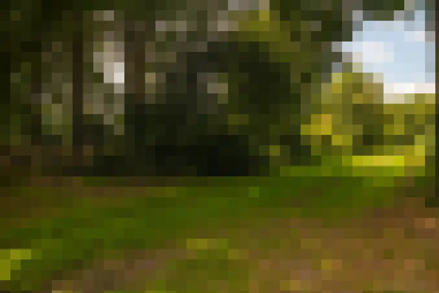 Stoevelaarsweg 2 Goor thumbnail 73