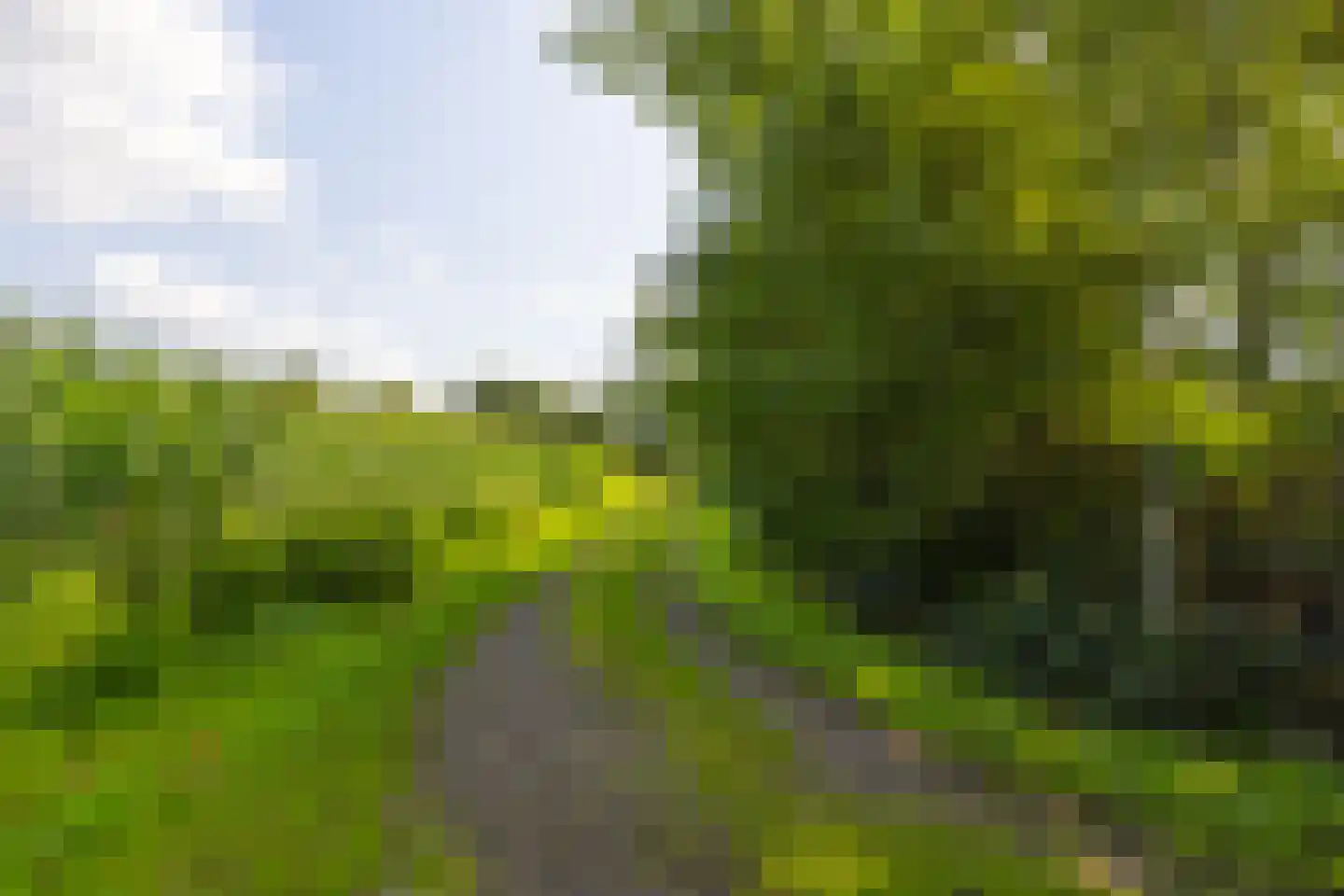 Stoevelaarsweg 2 Goor thumbnail 74