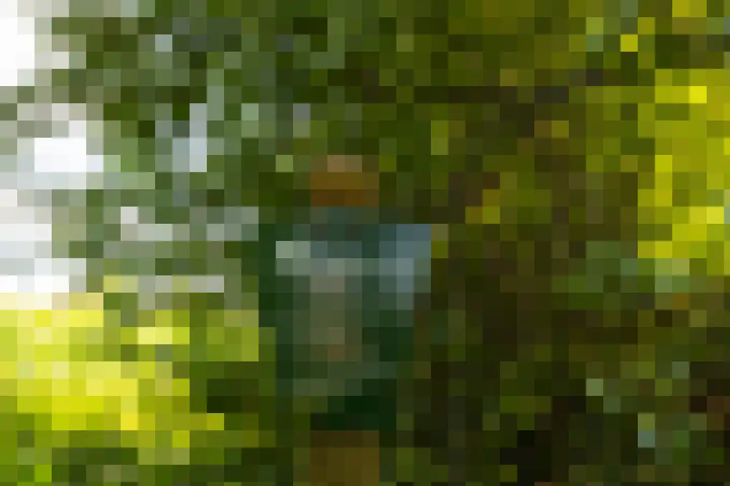 Stoevelaarsweg 2 Goor thumbnail 75