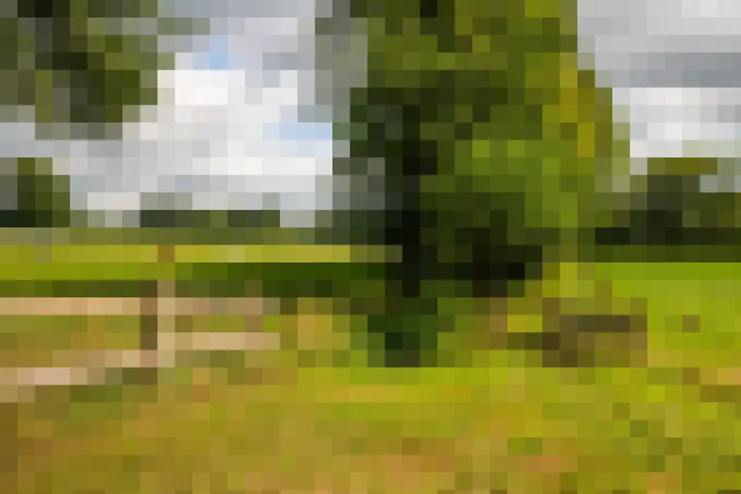 Stoevelaarsweg 2 Goor thumbnail 76
