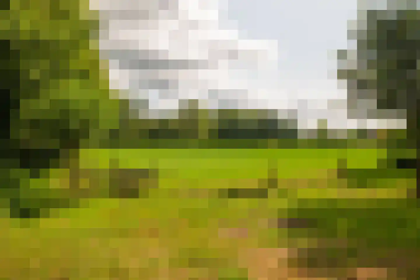 Stoevelaarsweg 2 Goor thumbnail 77