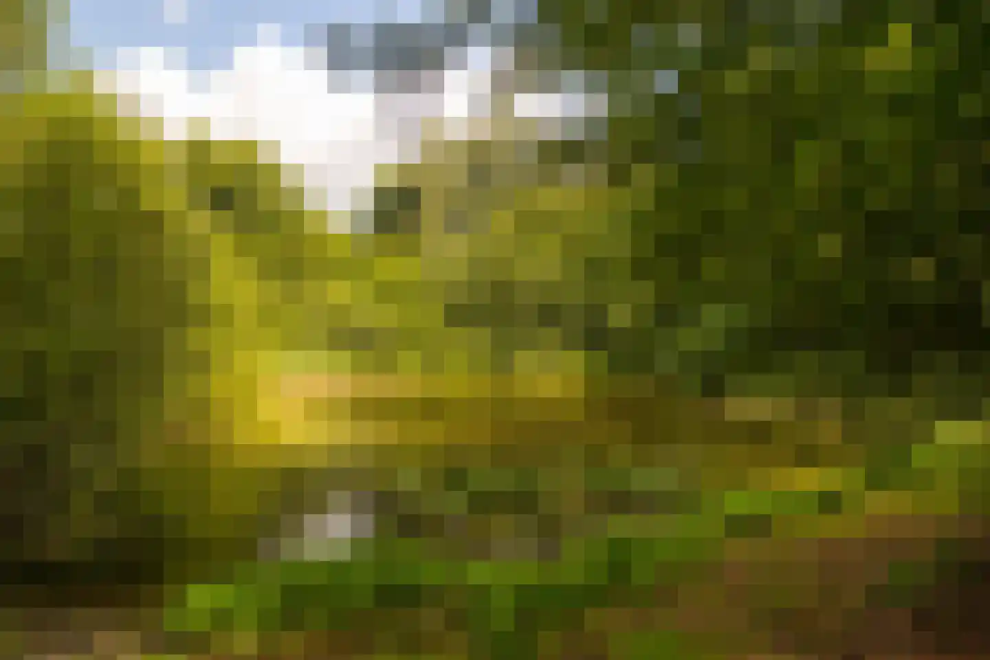 Stoevelaarsweg 2 Goor thumbnail 79