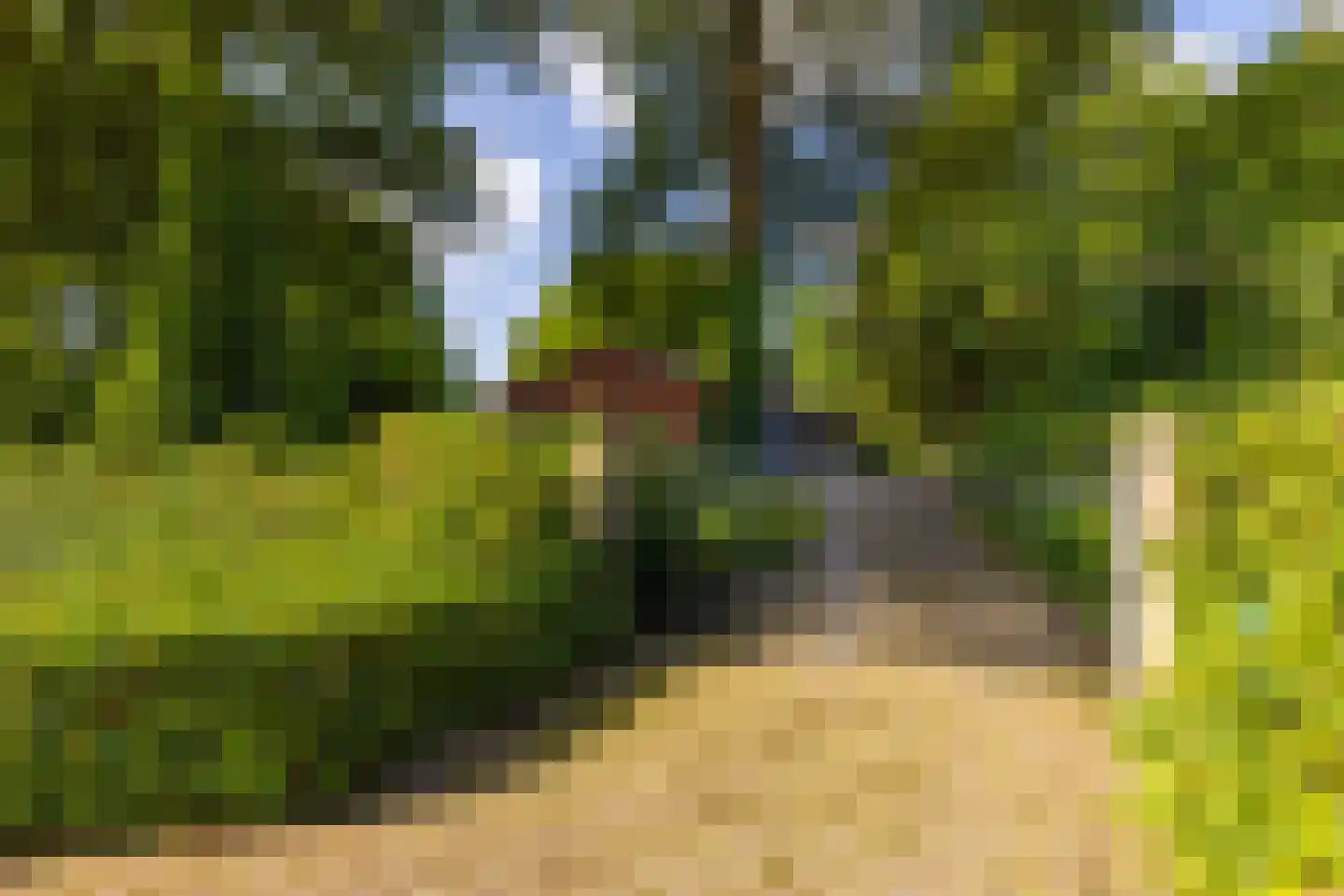 Stoevelaarsweg 2 Goor thumbnail 82