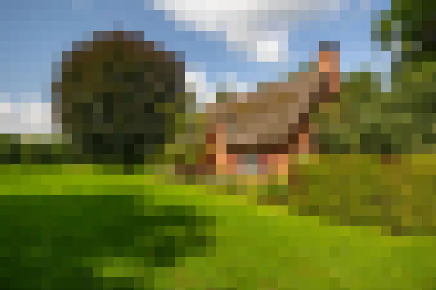 Stoevelaarsweg 2 Goor thumbnail 83
