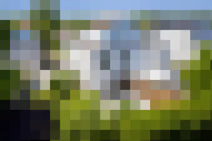 Stoevenbeld 28 Deventer thumbnail 27