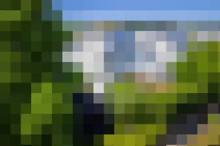 Stoevenbeld 28 Deventer thumbnail 28