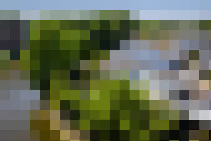 Stoevenbeld 28 Deventer thumbnail 29