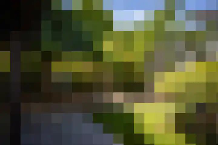 Stoevenbeld 28 Deventer thumbnail 37