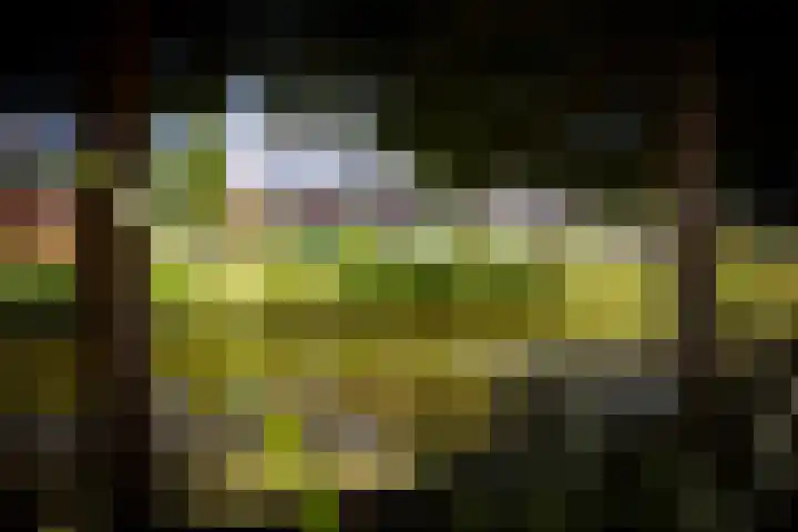 Stoevenbeld 28 Deventer thumbnail 41