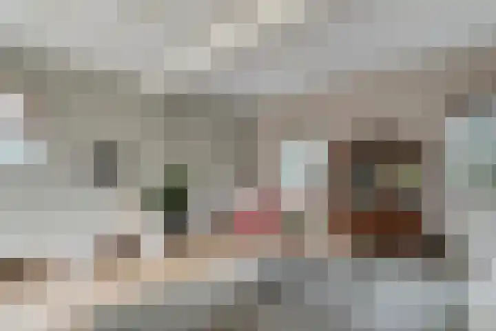 Stoevenweg 1 Heino thumbnail 11