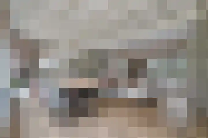 Stoevenweg 1 Heino thumbnail 15