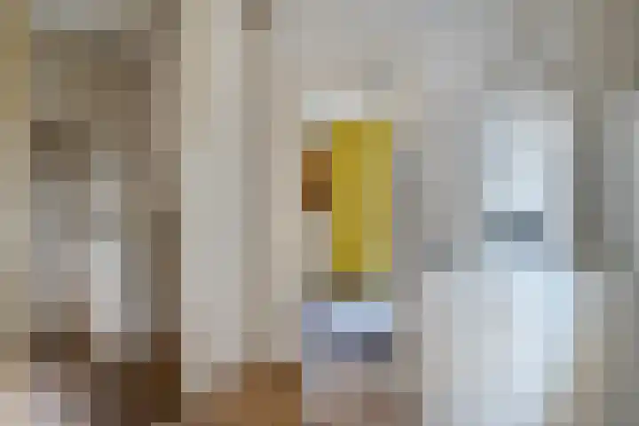 Stoevenweg 1 Heino thumbnail 21