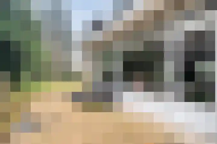 Stoevenweg 1 Heino thumbnail 31