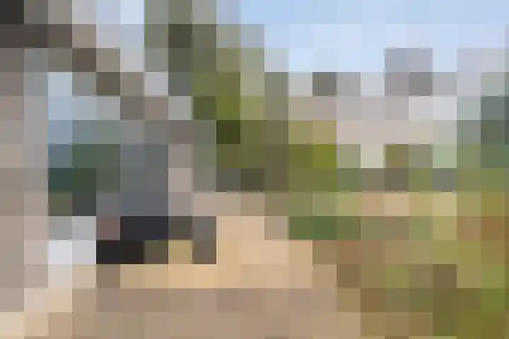 Stoevenweg 1 Heino thumbnail 32