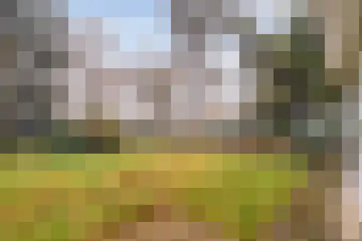 Stoevenweg 1 Heino thumbnail 33