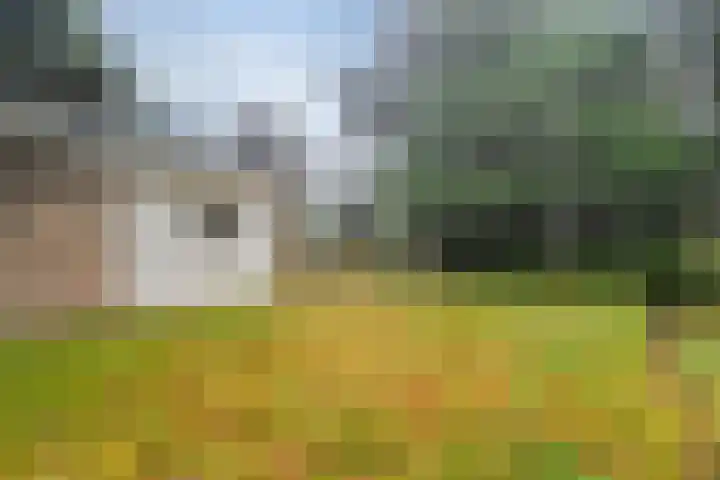 Stoevenweg 1 Heino thumbnail 34