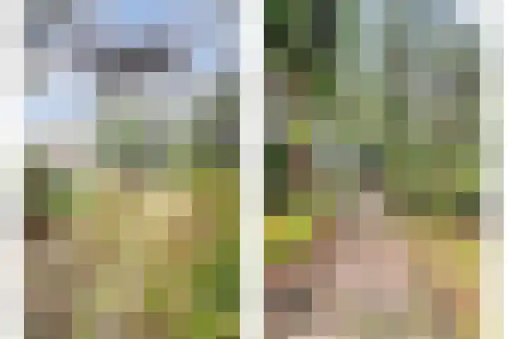 Stoevenweg 1 Heino thumbnail 38