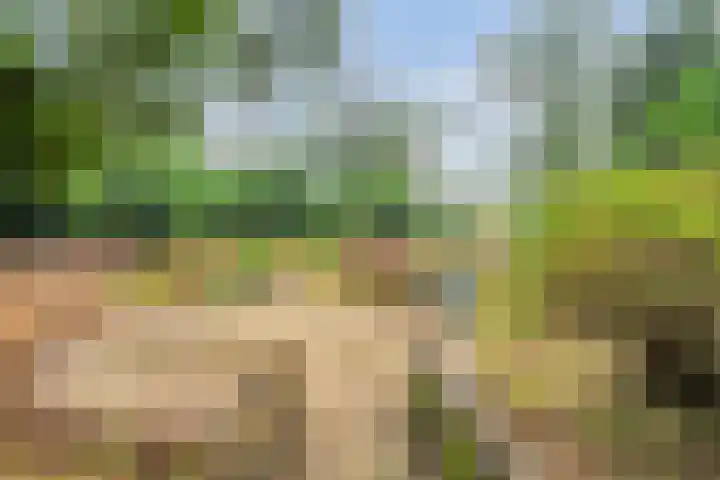 Stoevenweg 1 Heino thumbnail 39