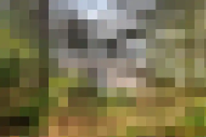 Stoevenweg 1 Heino thumbnail 4