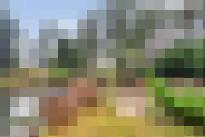 Stoevenweg 1 Heino thumbnail 40