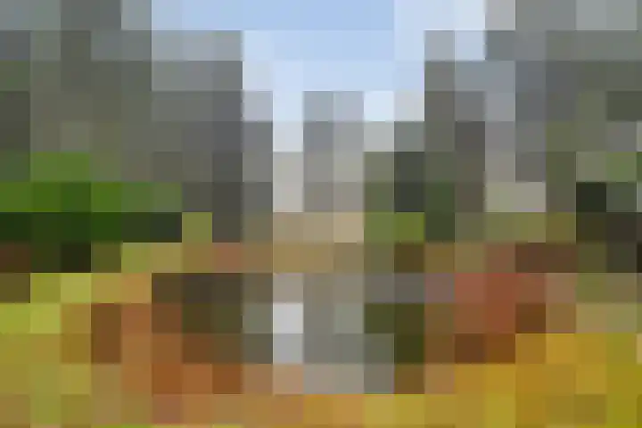 Stoevenweg 1 Heino thumbnail 41
