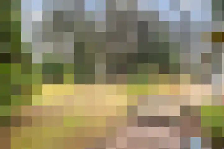Stoevenweg 1 Heino thumbnail 42