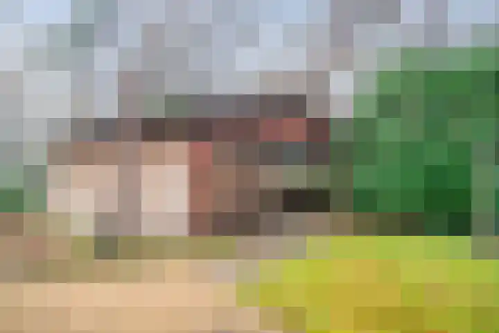 Stoevenweg 1 Heino thumbnail 44