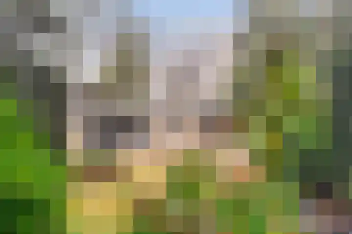 Stoevenweg 1 Heino thumbnail 46