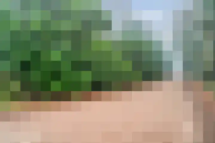 Stoevenweg 1 Heino thumbnail 5