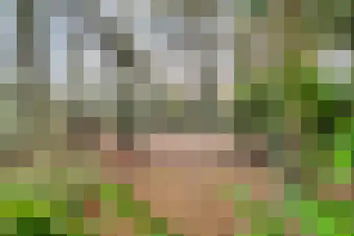 Stoevenweg 1 Heino thumbnail 6