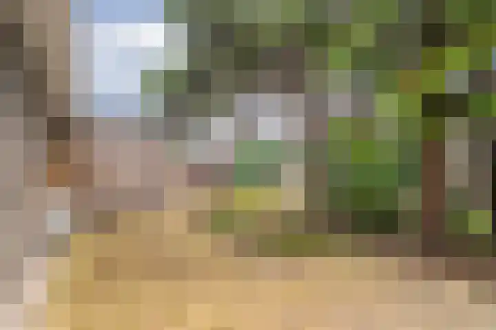 Stoevenweg 1 Heino thumbnail 7