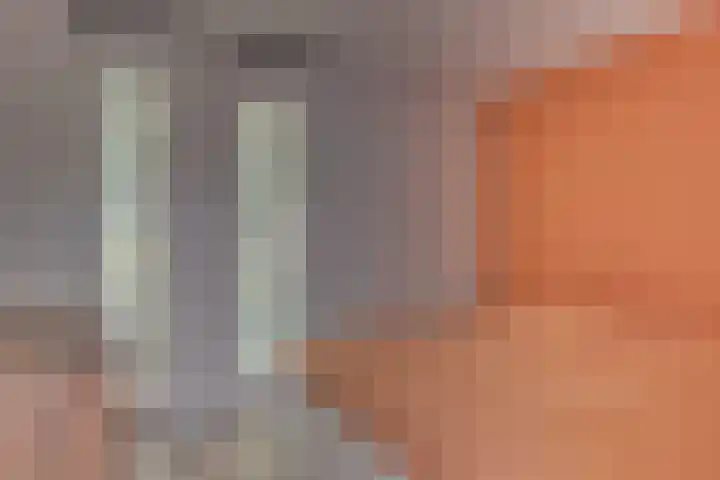 Stoevenweg 20 Heino thumbnail 18