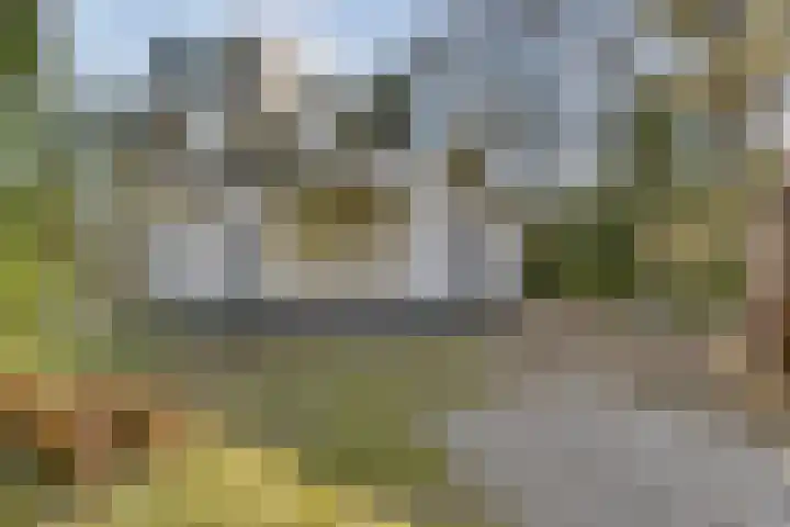 Stoevenweg 20 Heino thumbnail 28